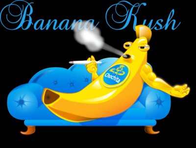 Banana Kush