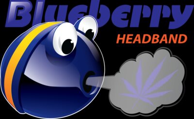 Blueberry Headband