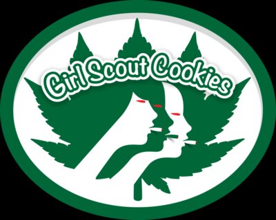 Girl Scout Cookies
