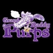 Grand Daddy Purps