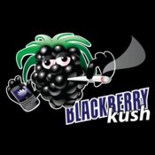 Blackberry Kush
