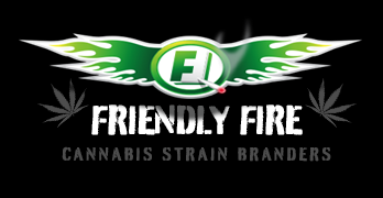 FriendlyFire